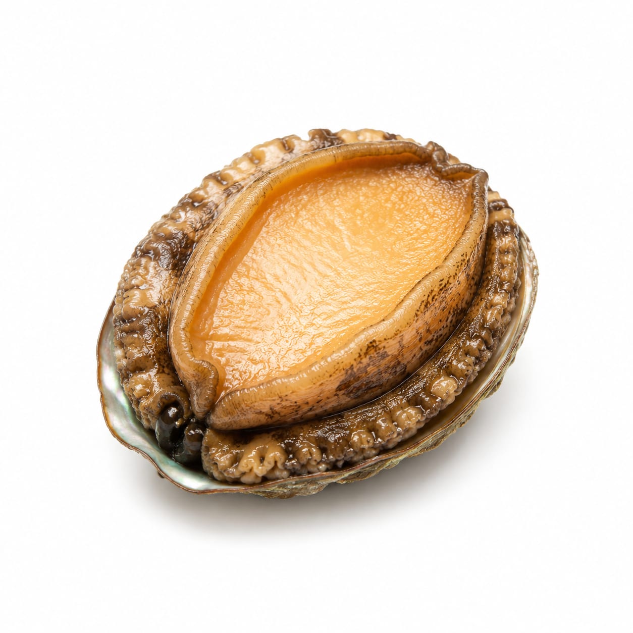 Abalone