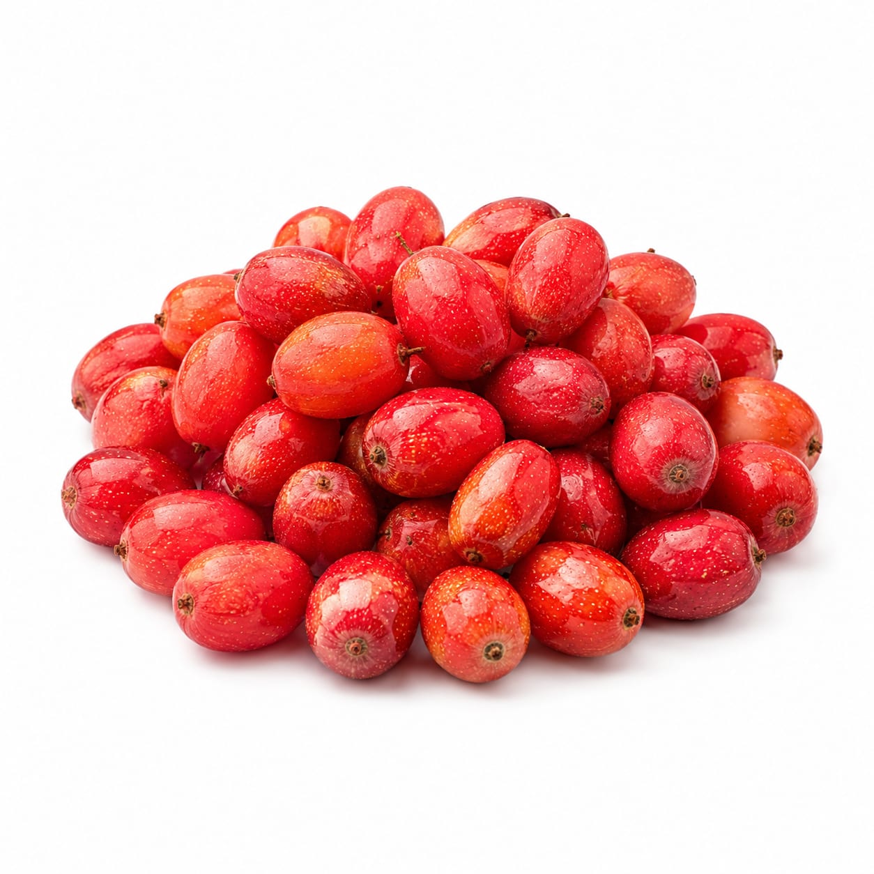 Buffaloberry