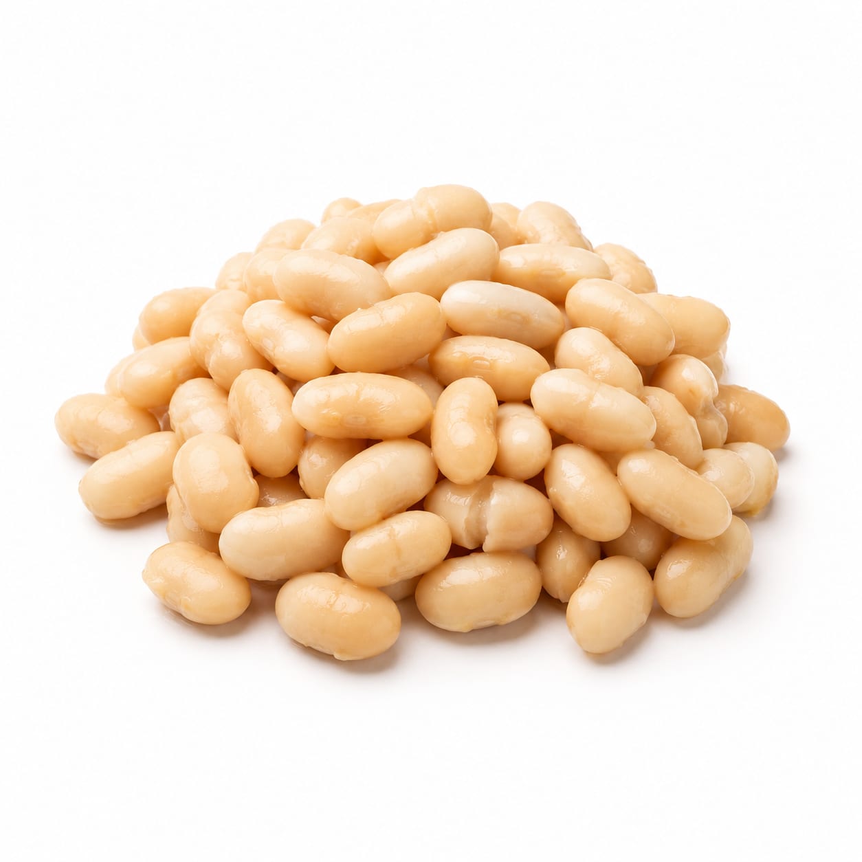 Cannellini Bean