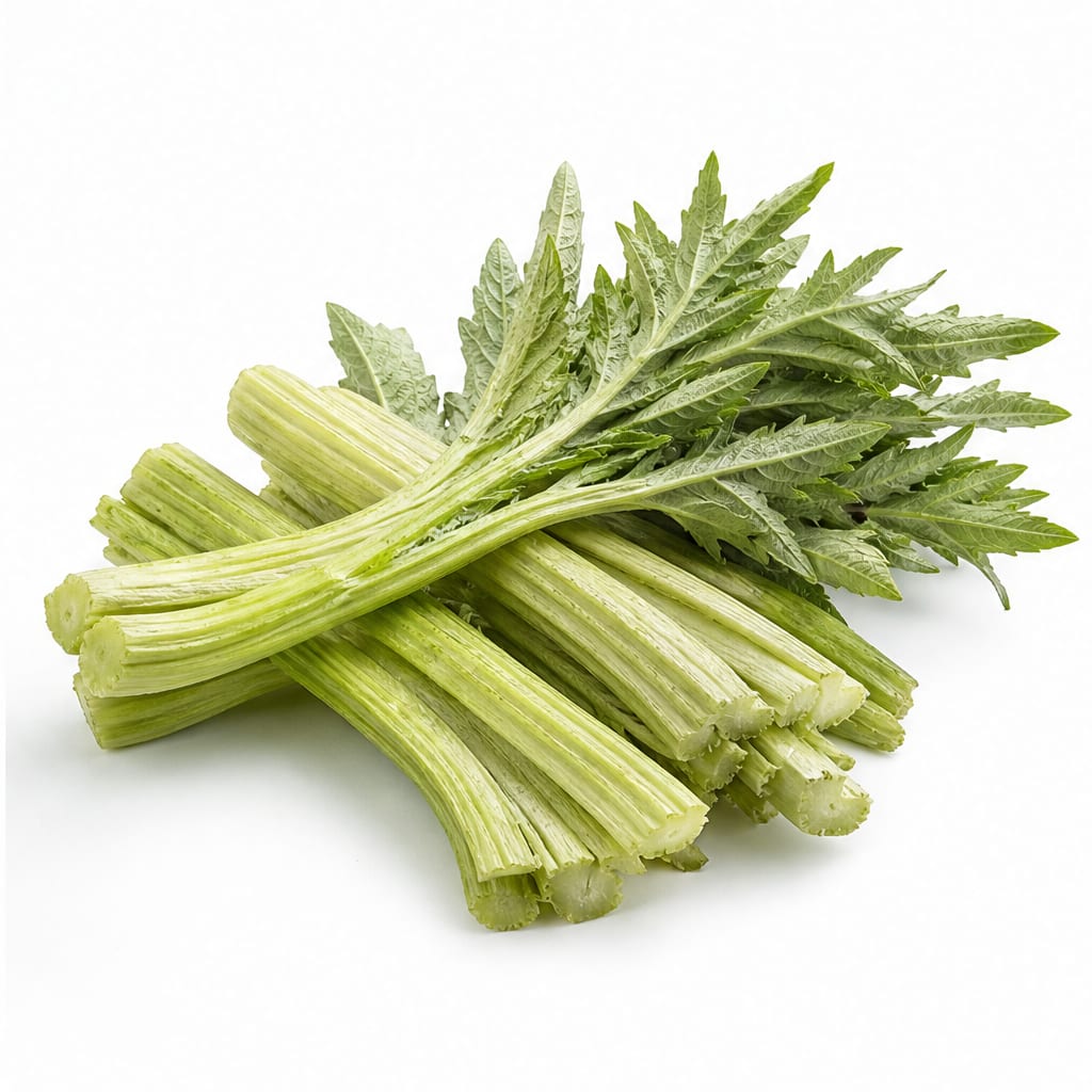 Cardoon