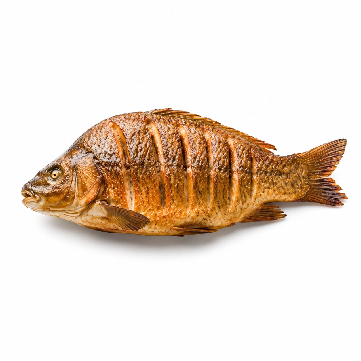 Carp
