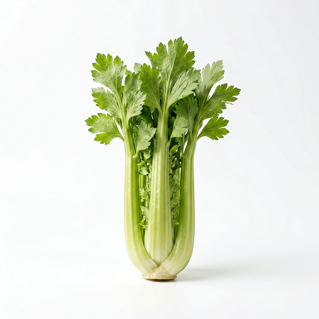 Celery