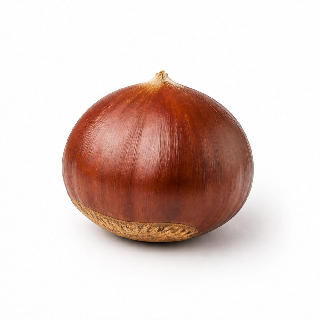 Chestnut