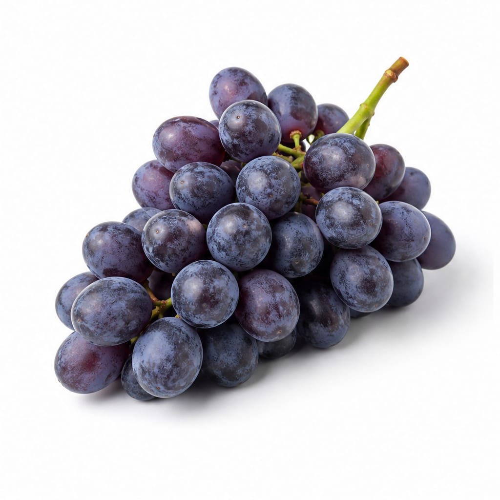 Concord grape