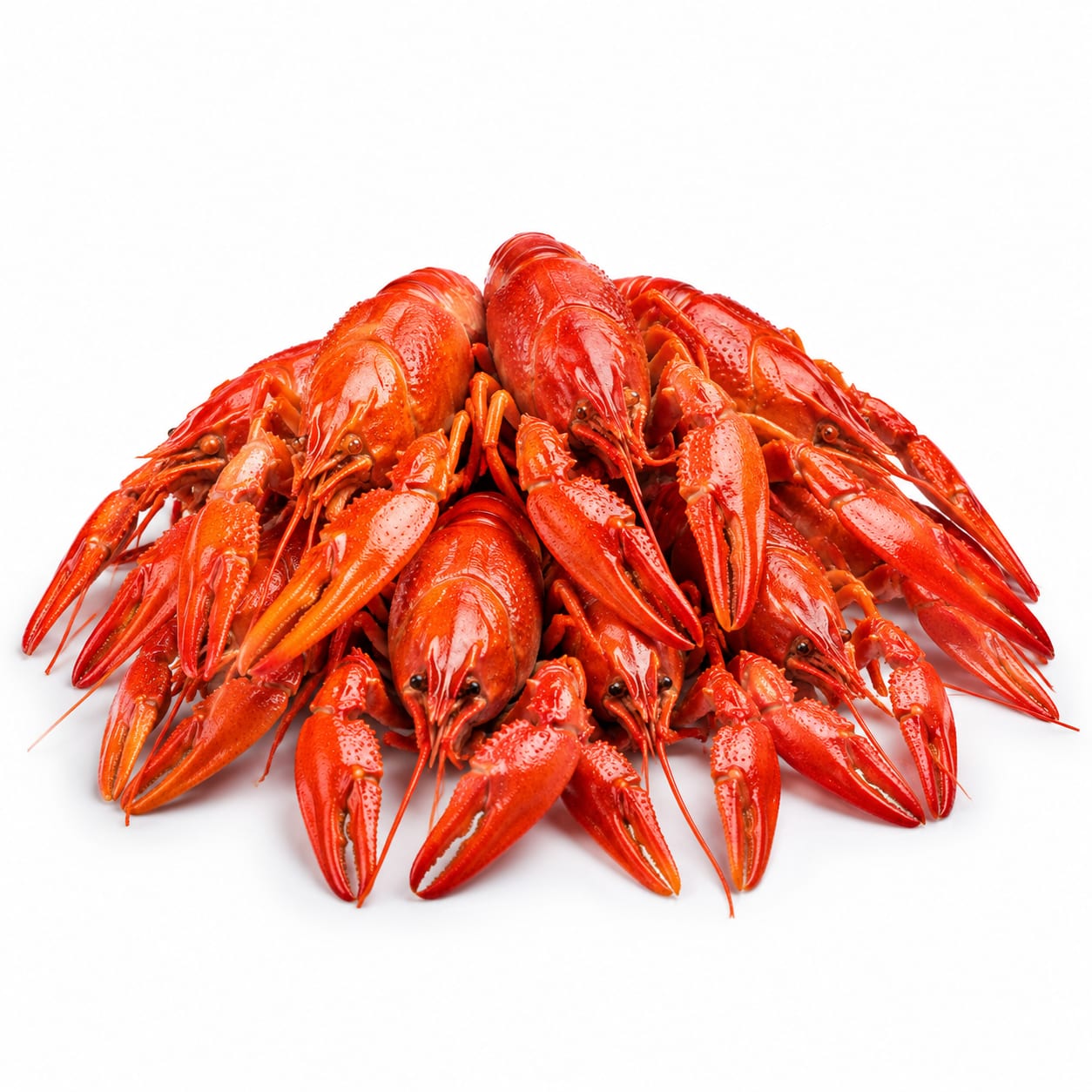 Crayfish