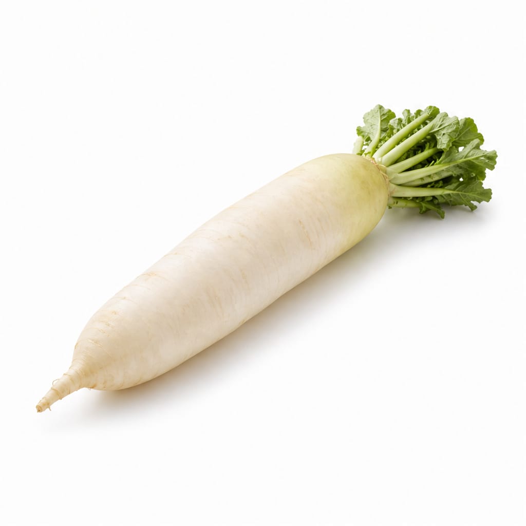 Daikon Radish