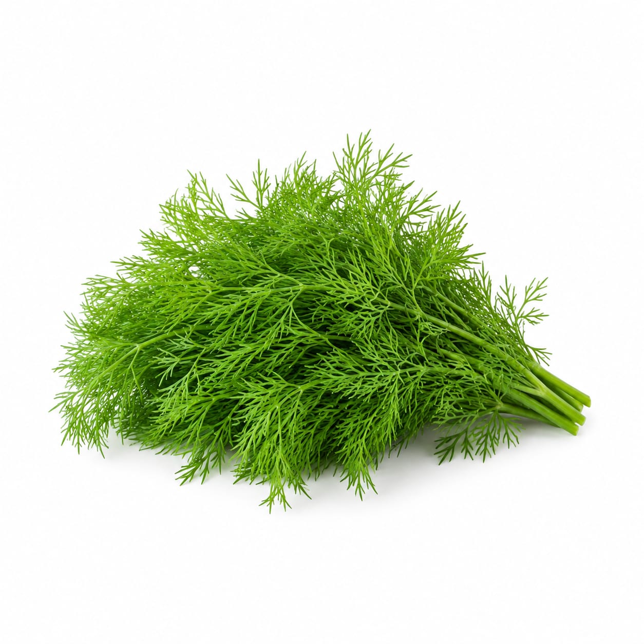 Dill