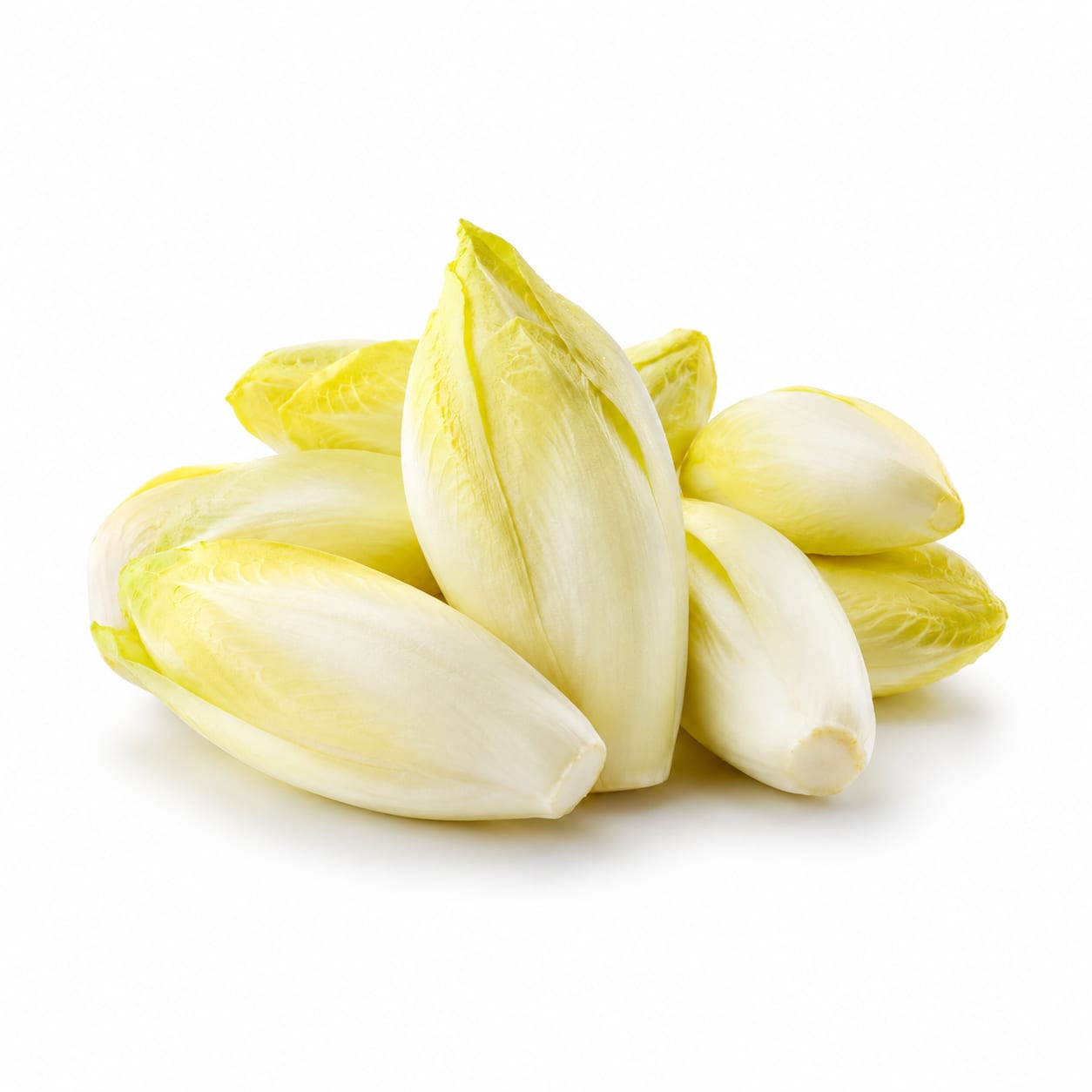Endive