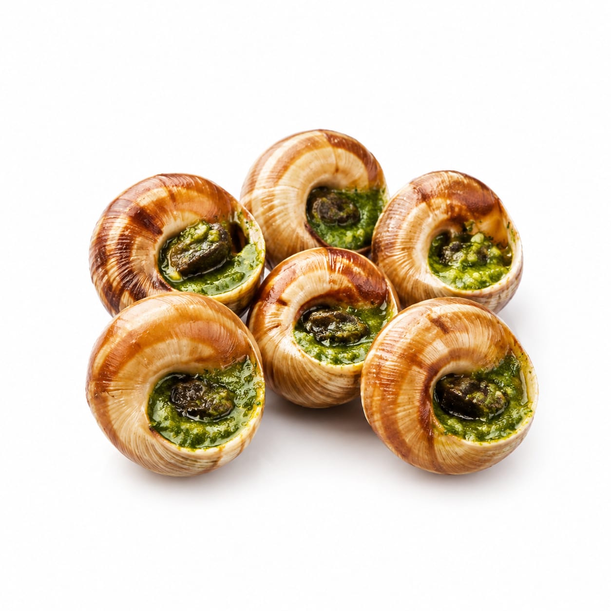Escargot