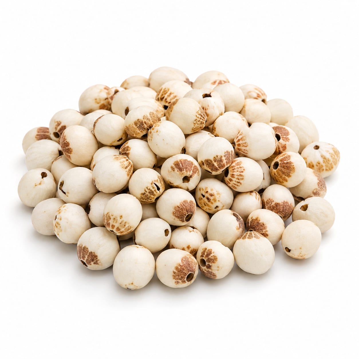 Euryale Seed