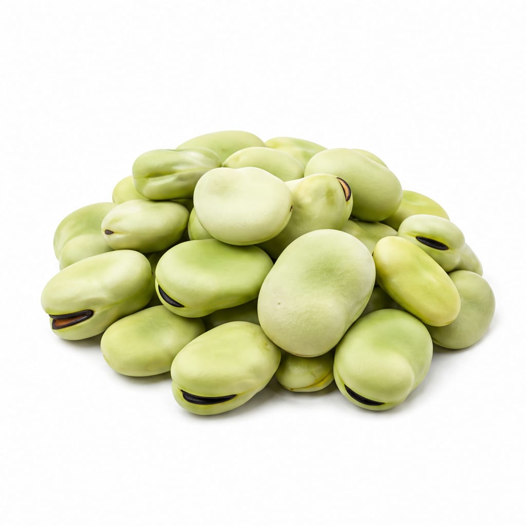 Fava Beans