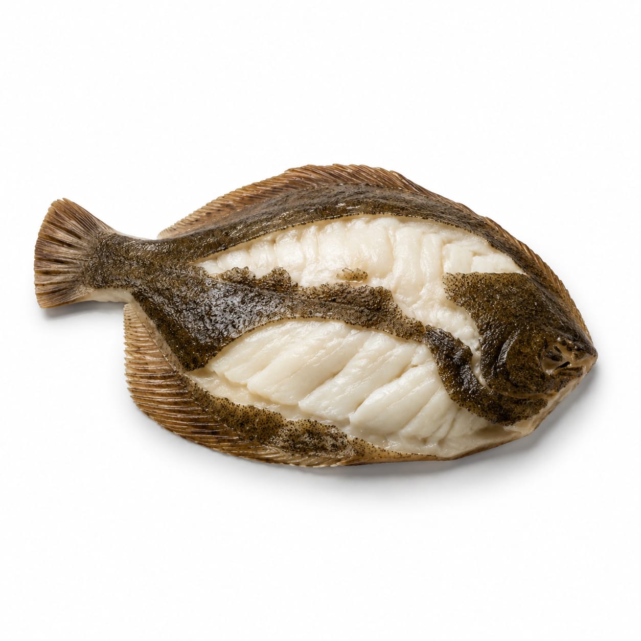 Flounder