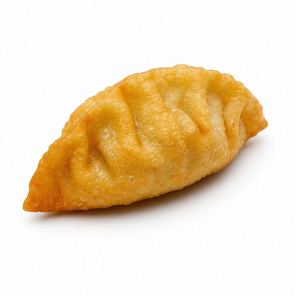Fried Dumpling