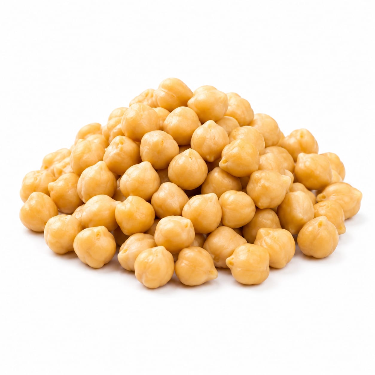 Garbanzo Bean