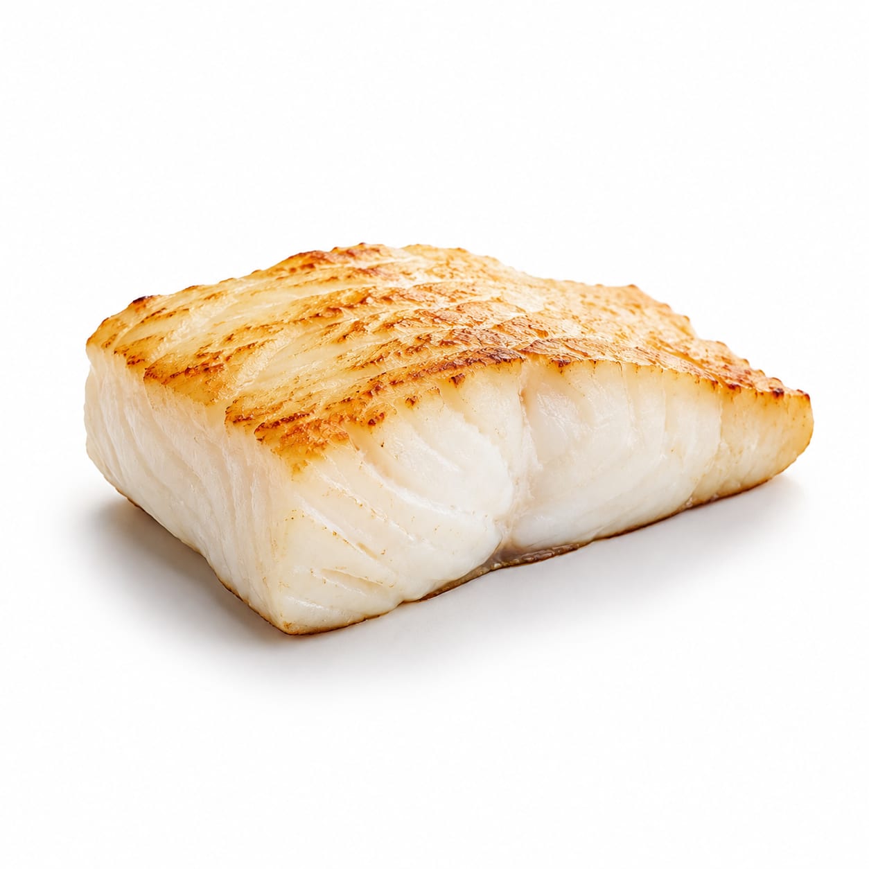 Halibut