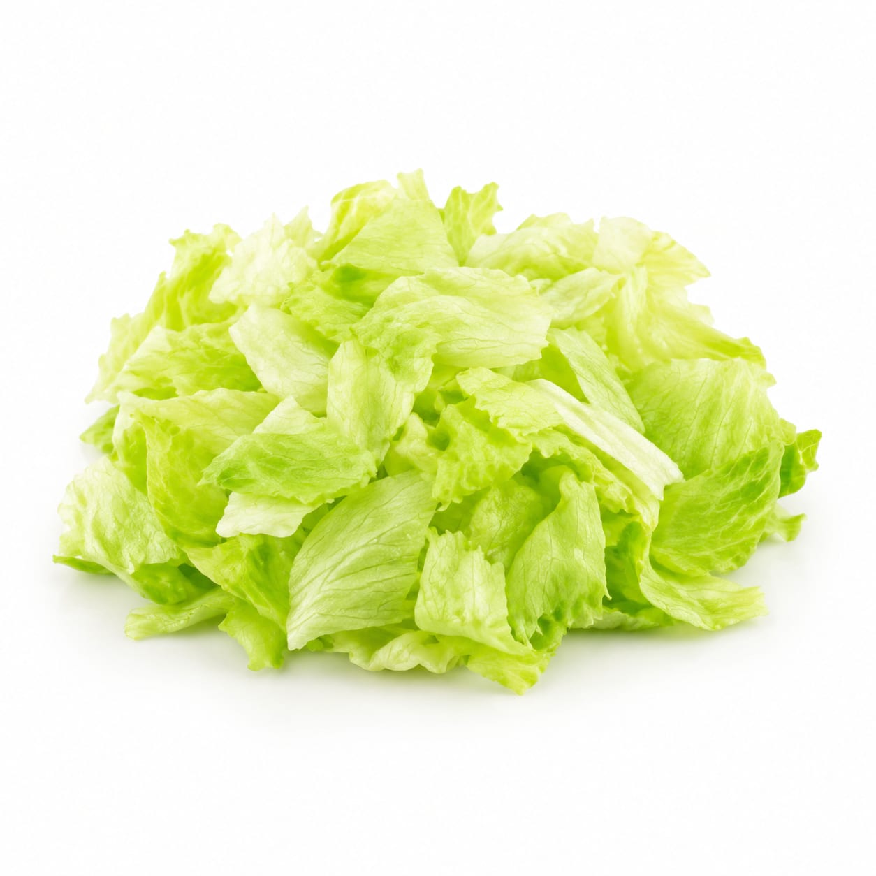 Iceberg Lettuce