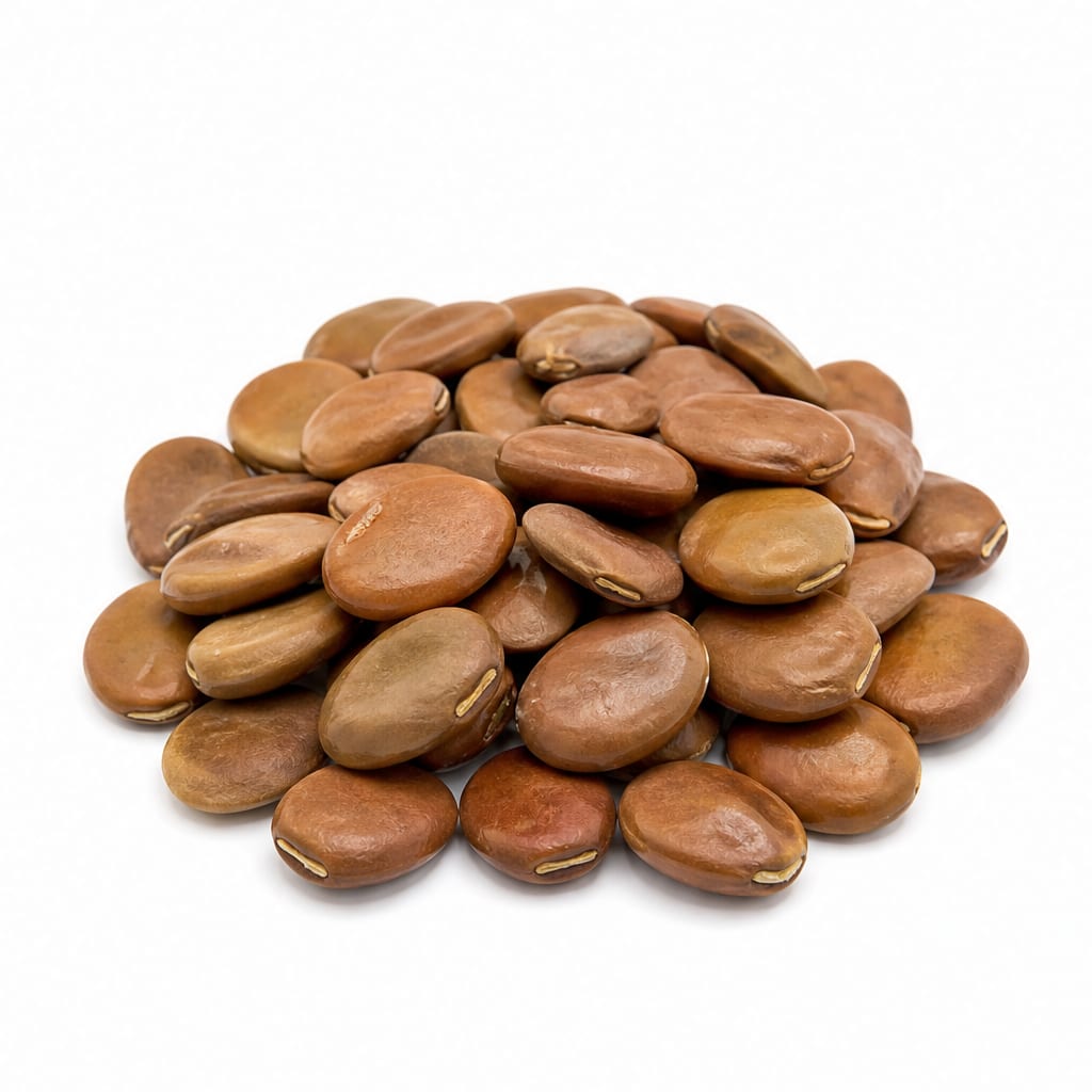 Jackbean