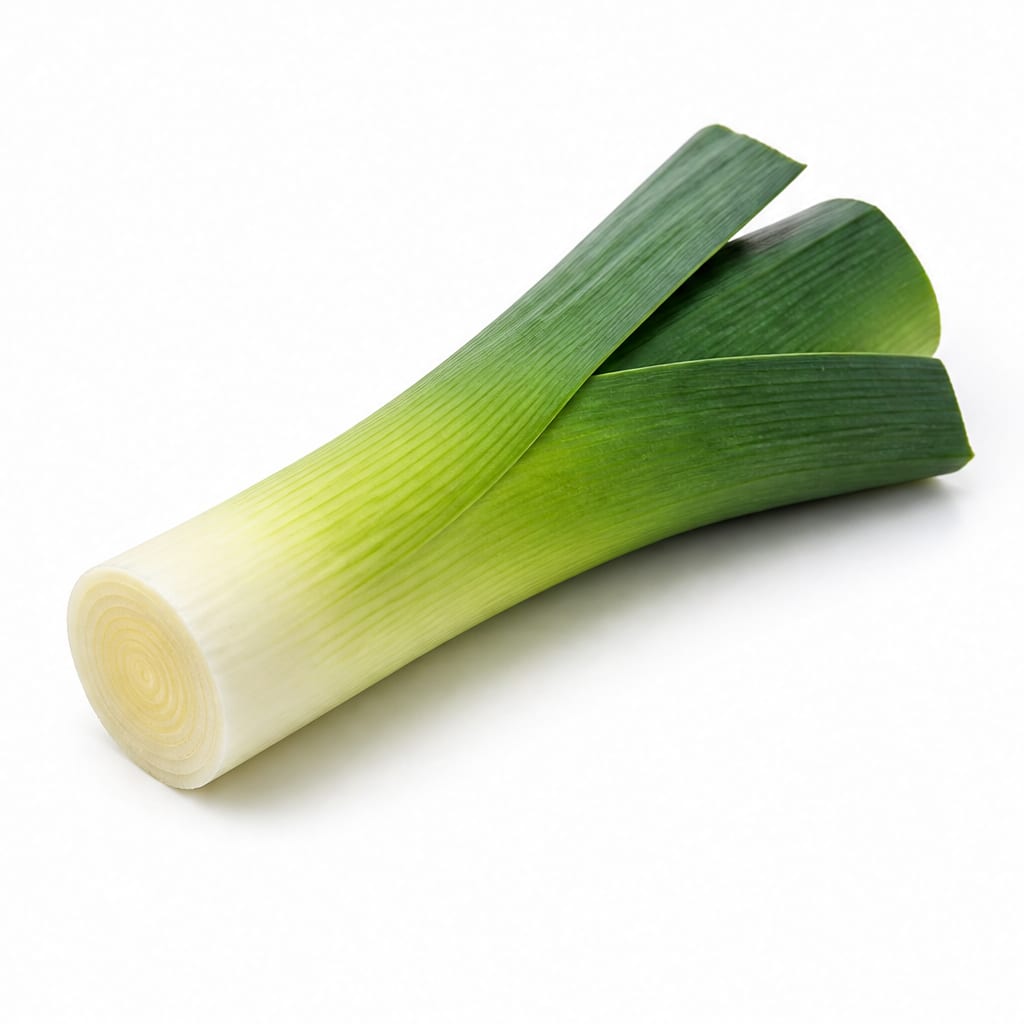Leek