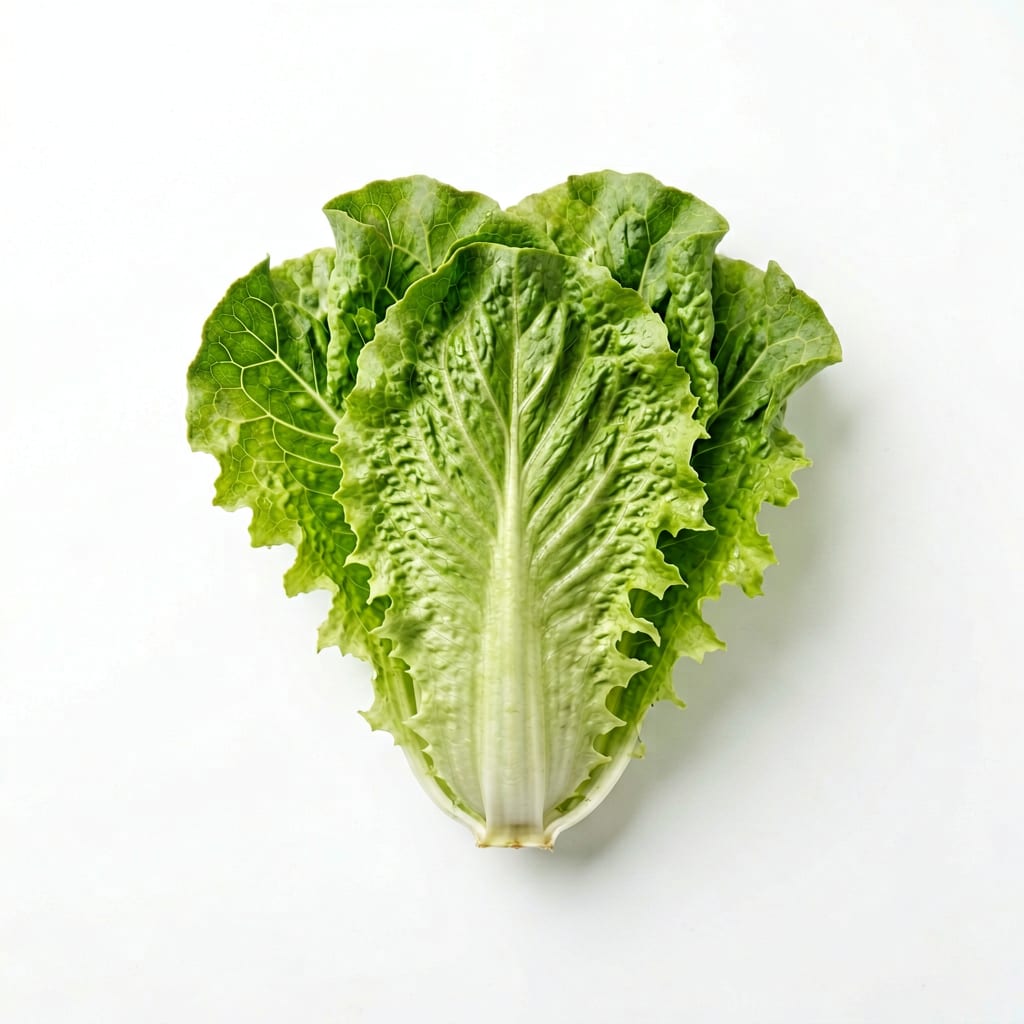 Lettuce
