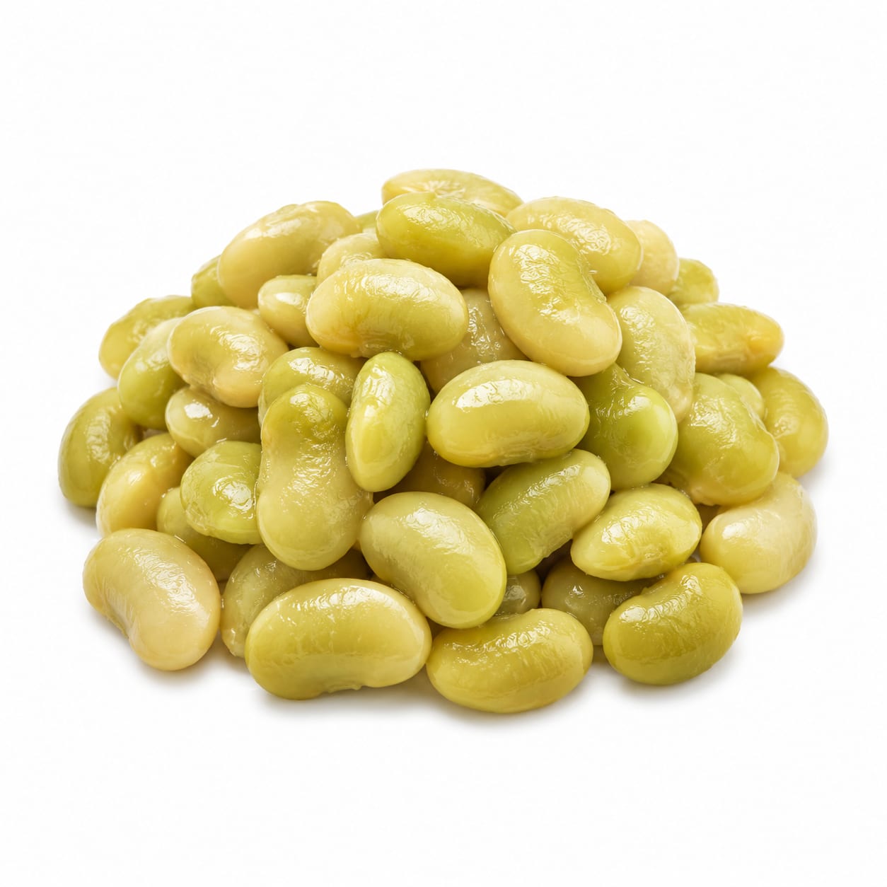 Lima Bean