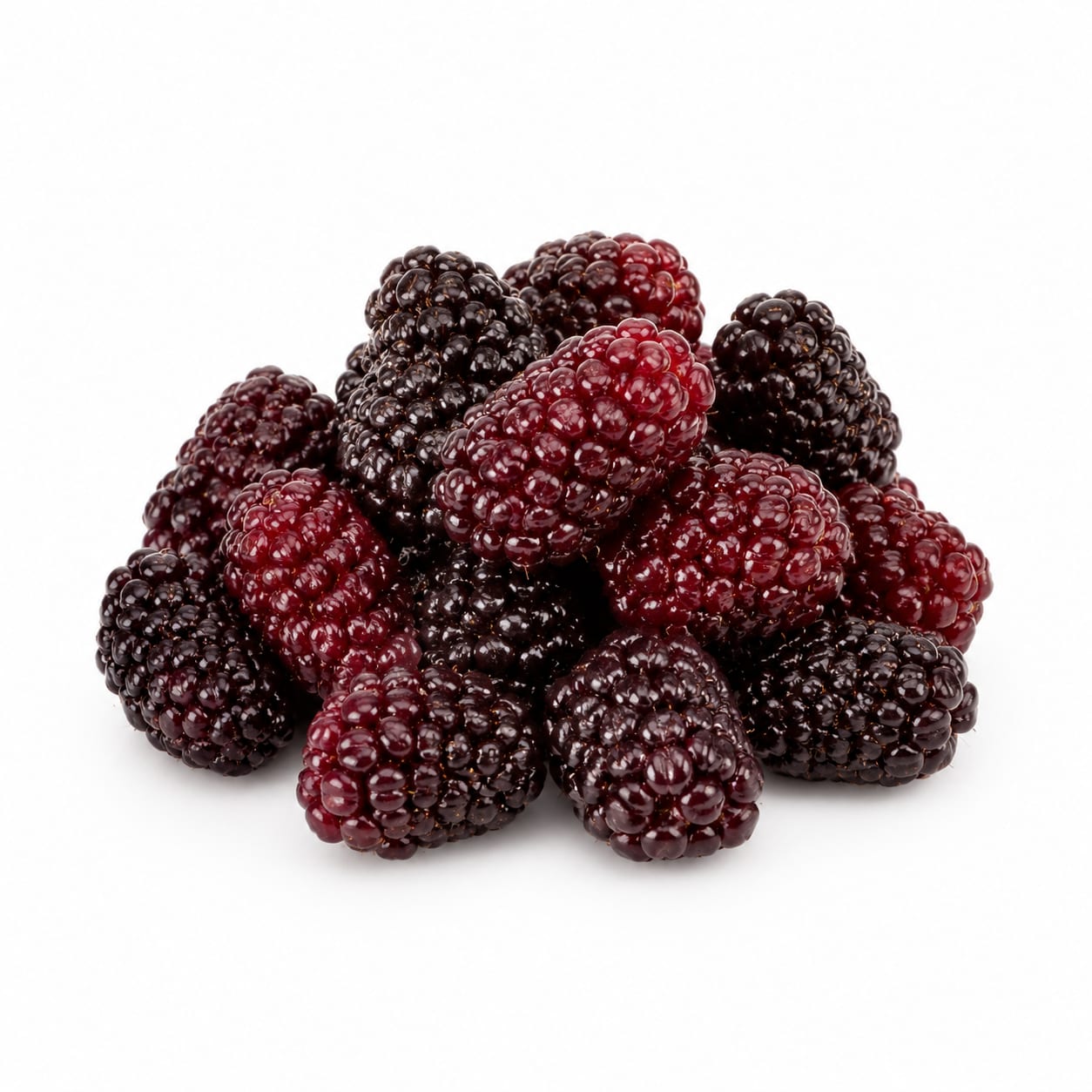 Loganberry