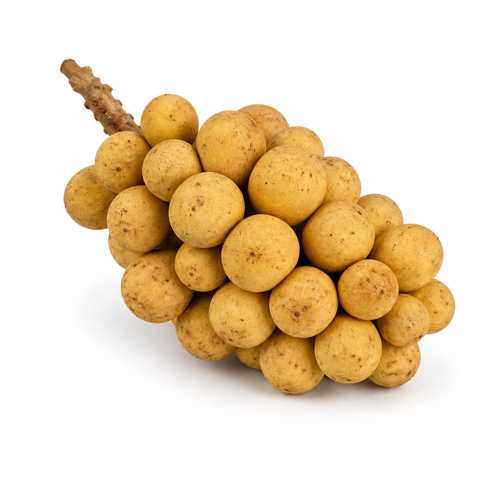 Longkong