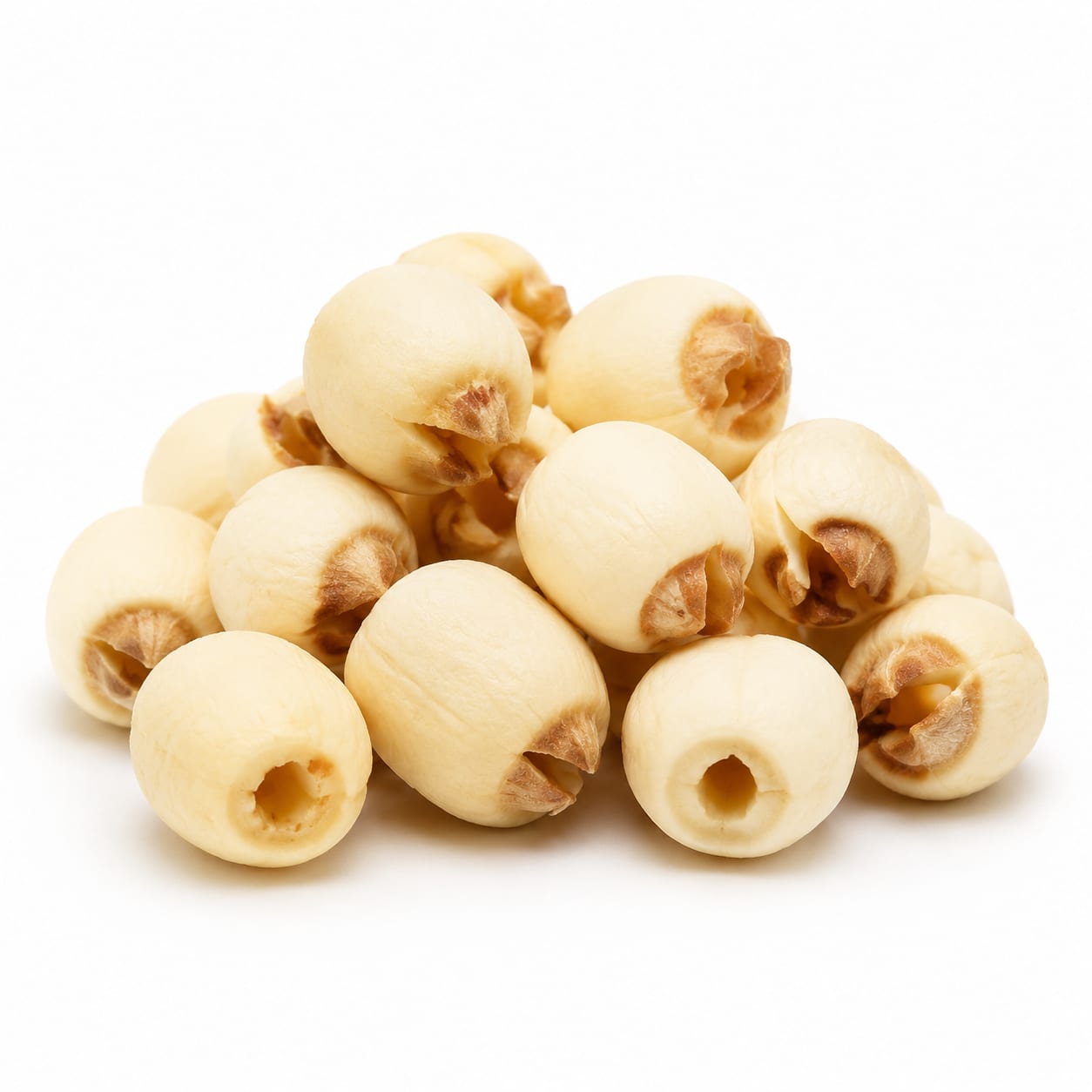 Lotus Fruit