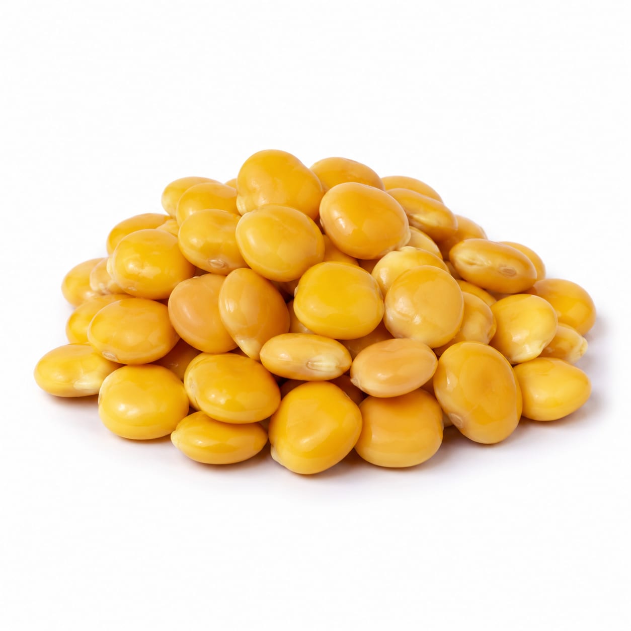 Lupin Bean