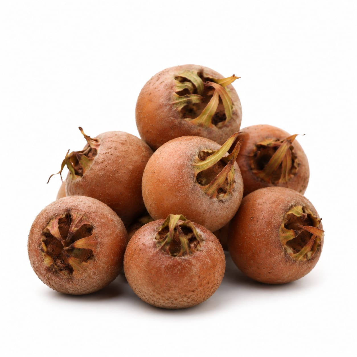 Medlar