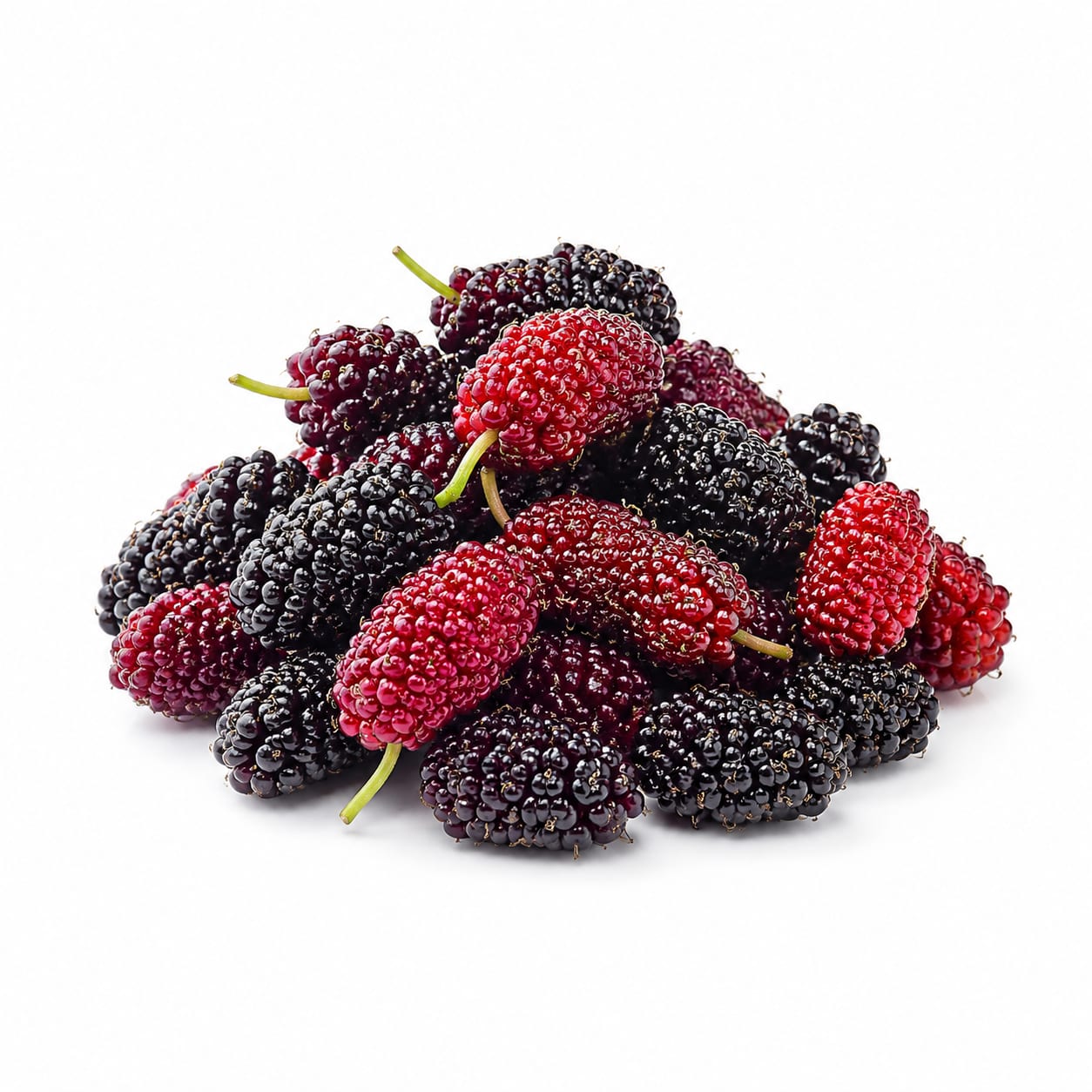 Mulberry