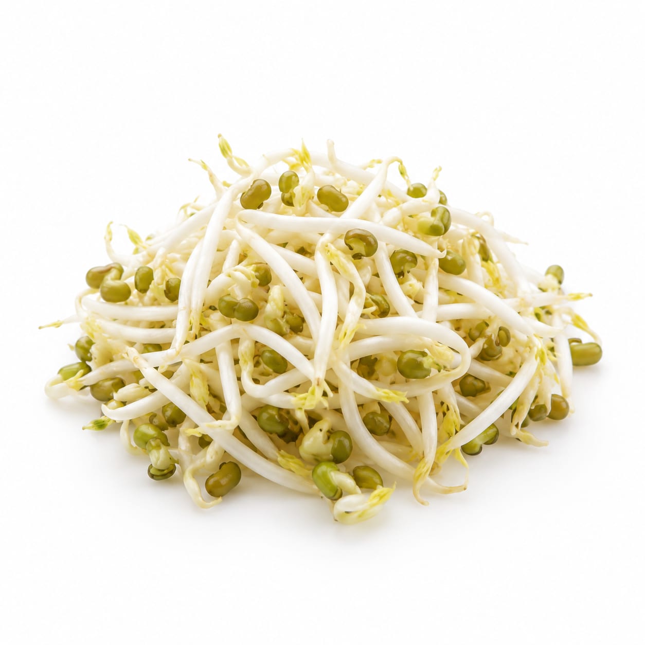 Mung Bean Sprouts