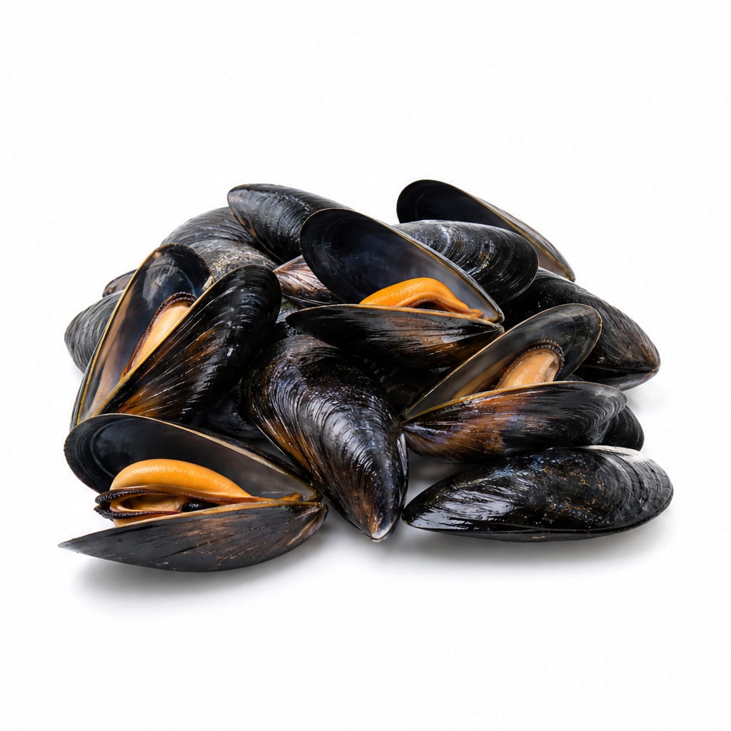 Mussels