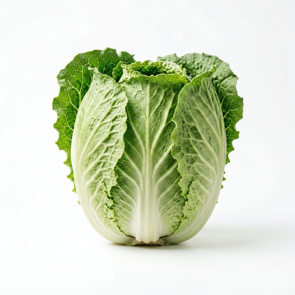 Napa Cabbage