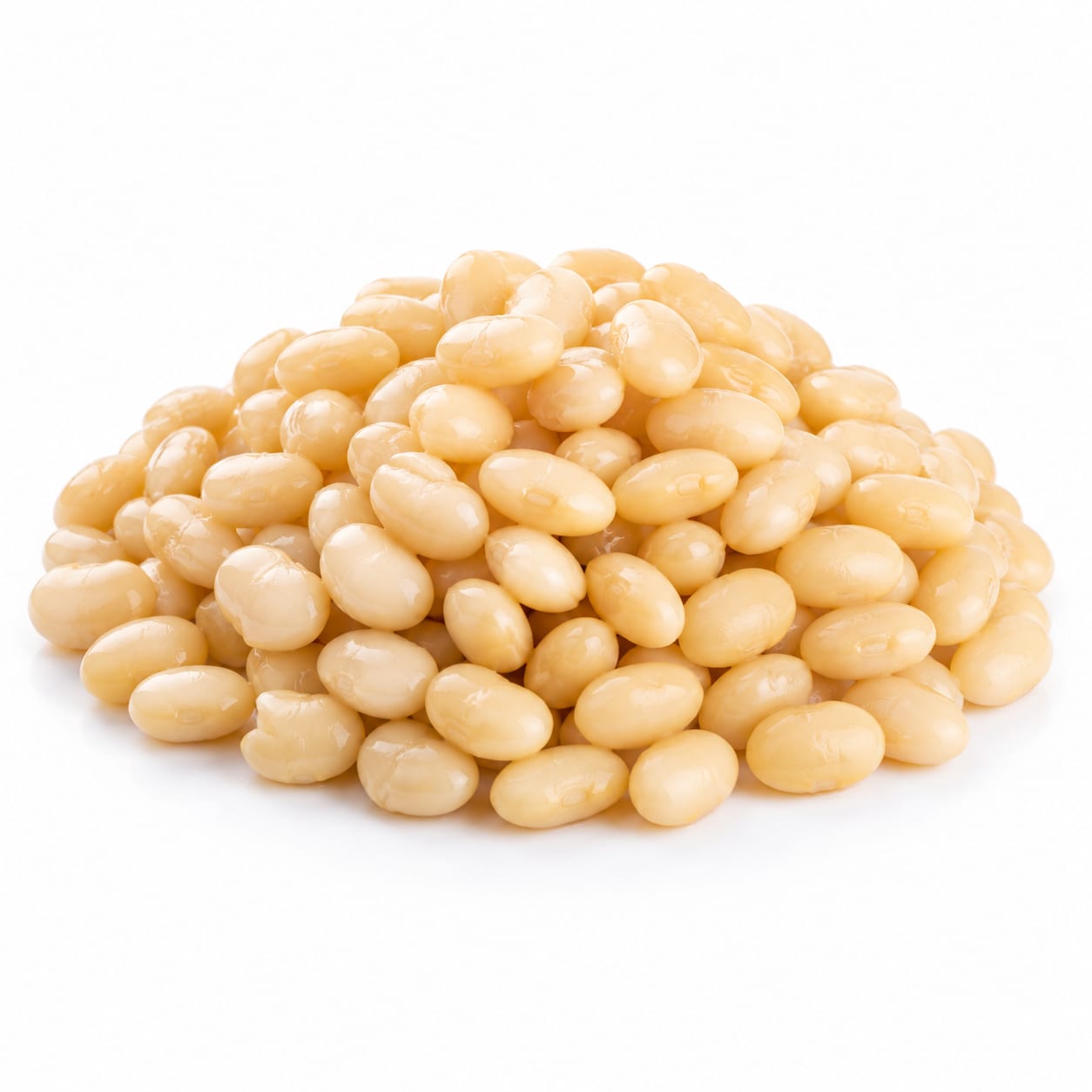 Navy Bean