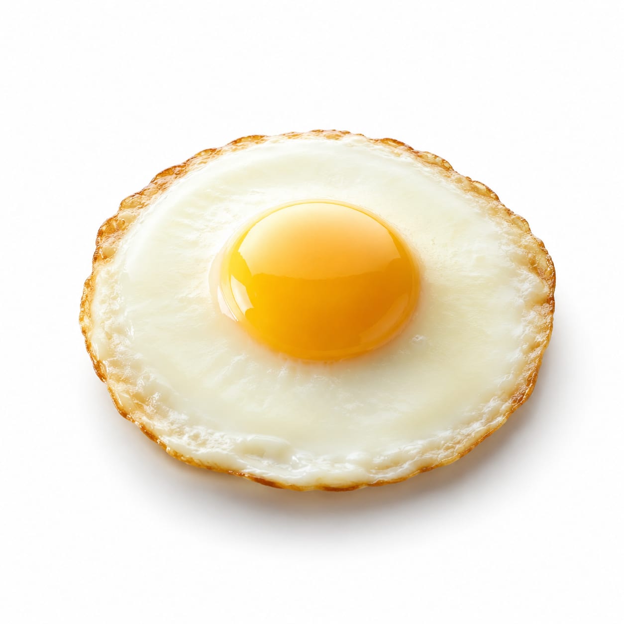 Ostrich Egg