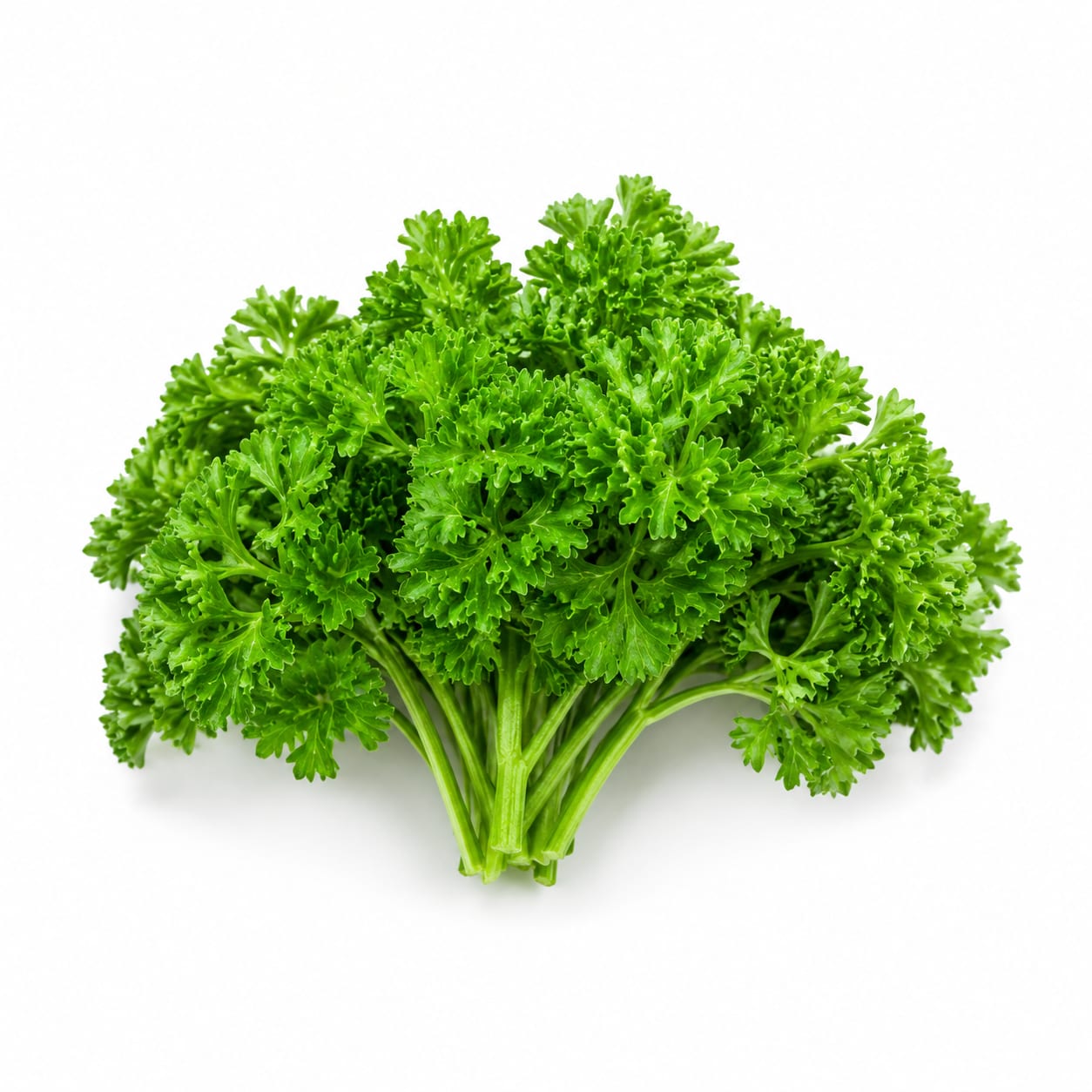 Parsley