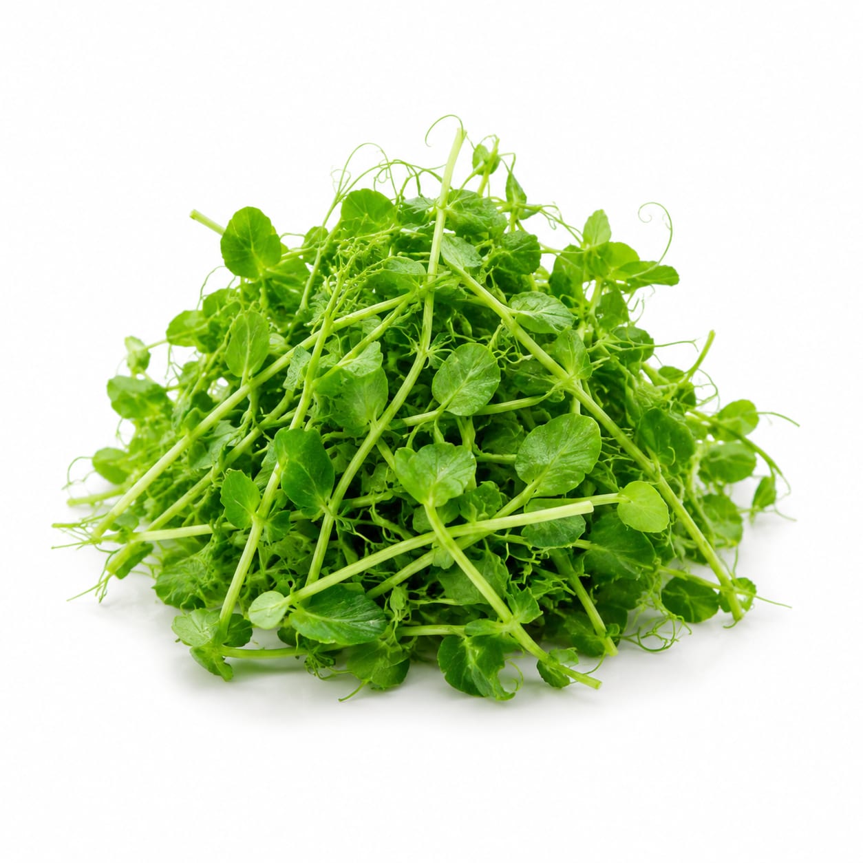 Pea Shoots