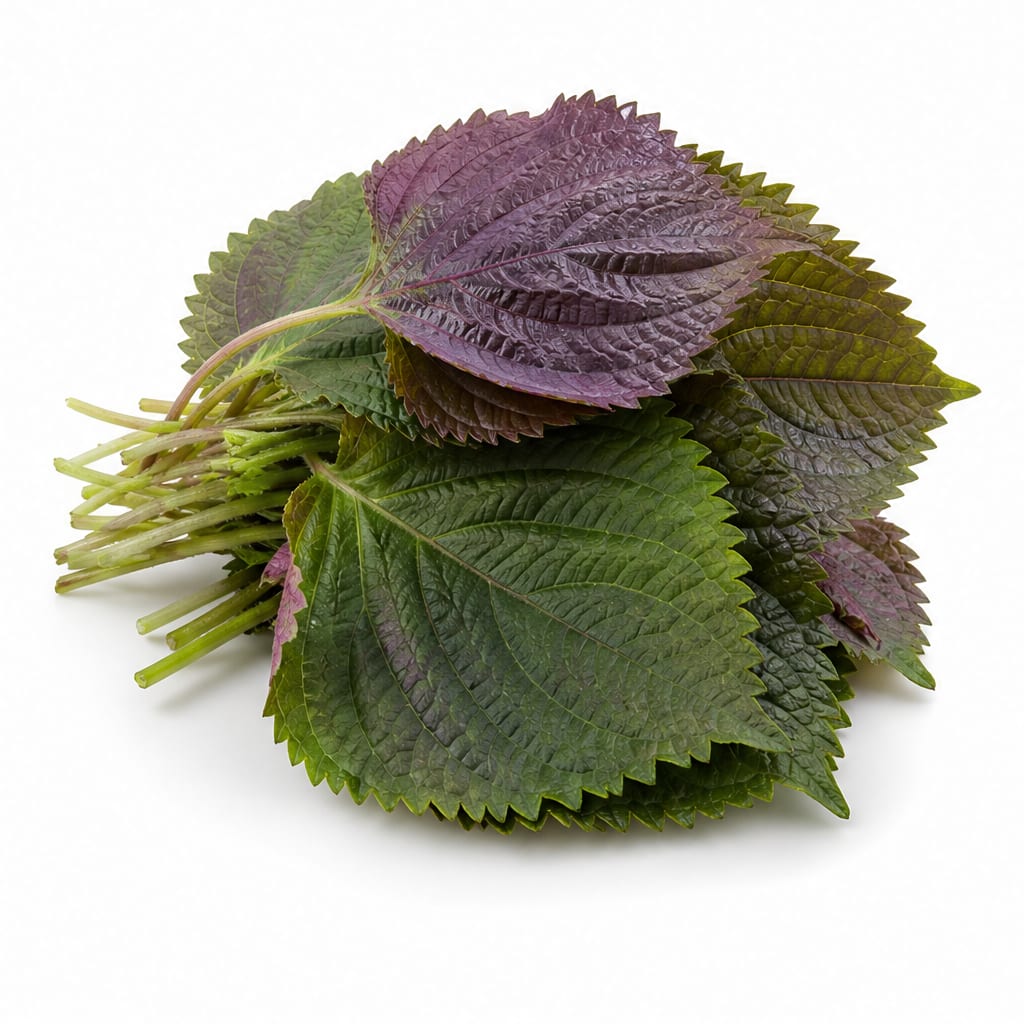 Perilla