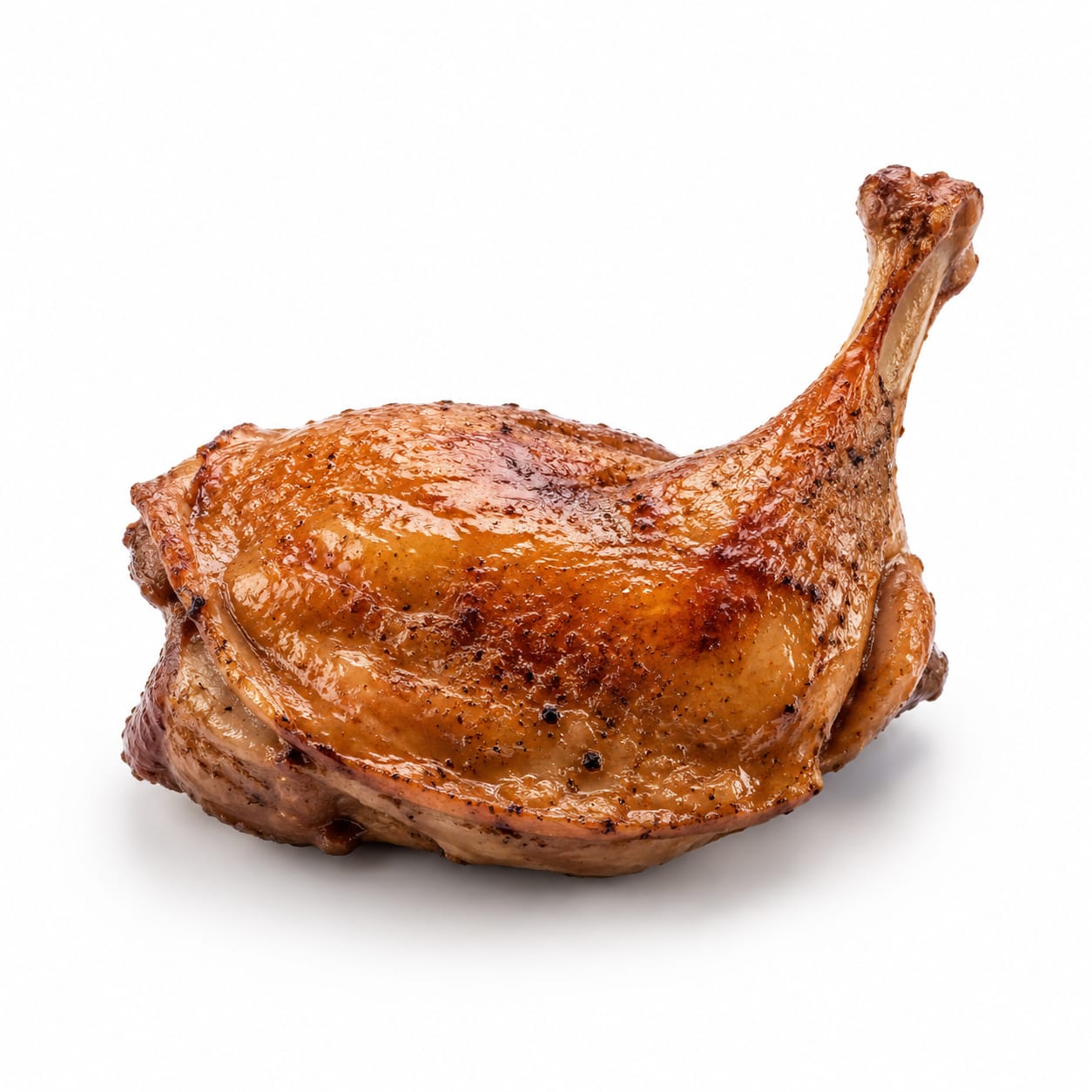 Pheasant