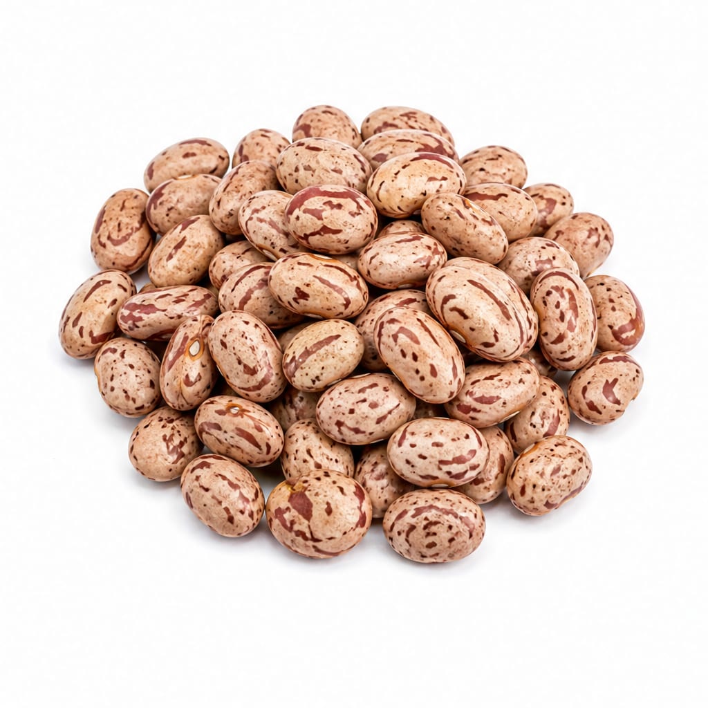 Pinto Beans