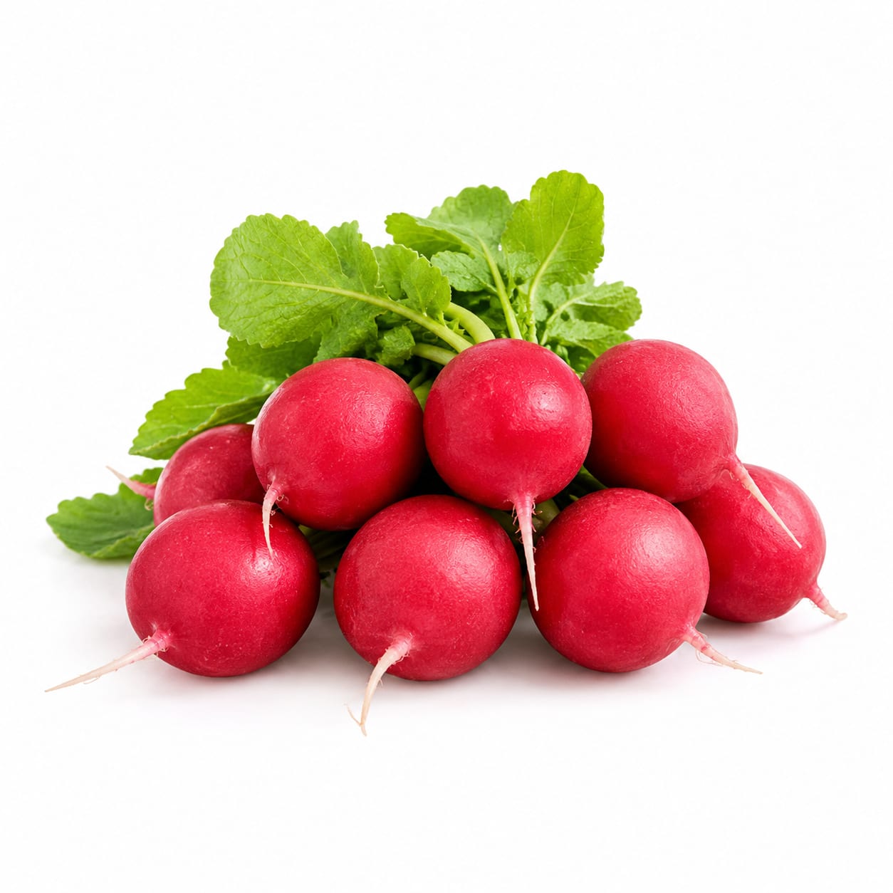 Radishes