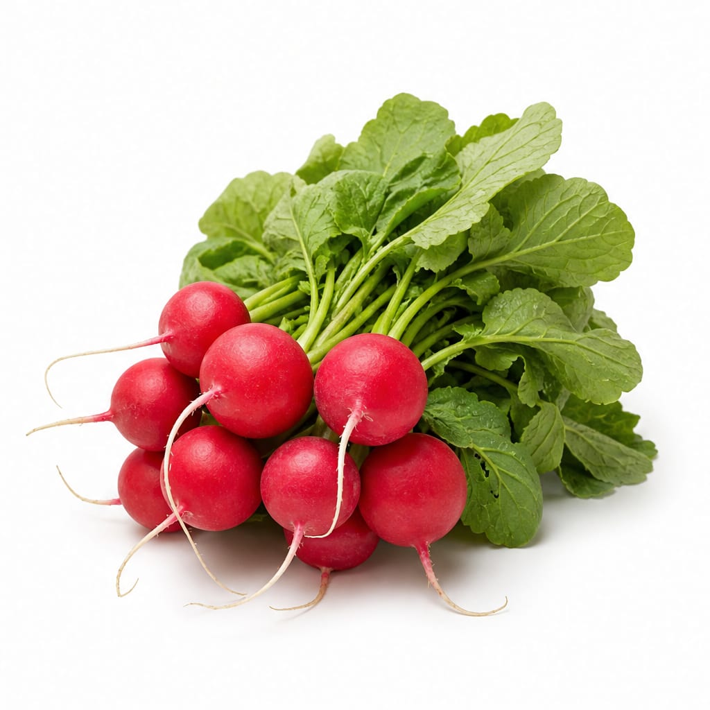 Red Radish