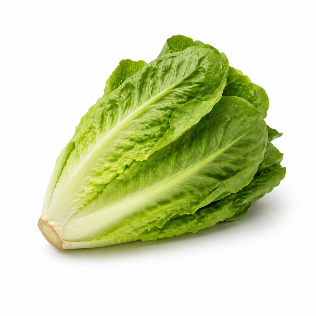 Romaine