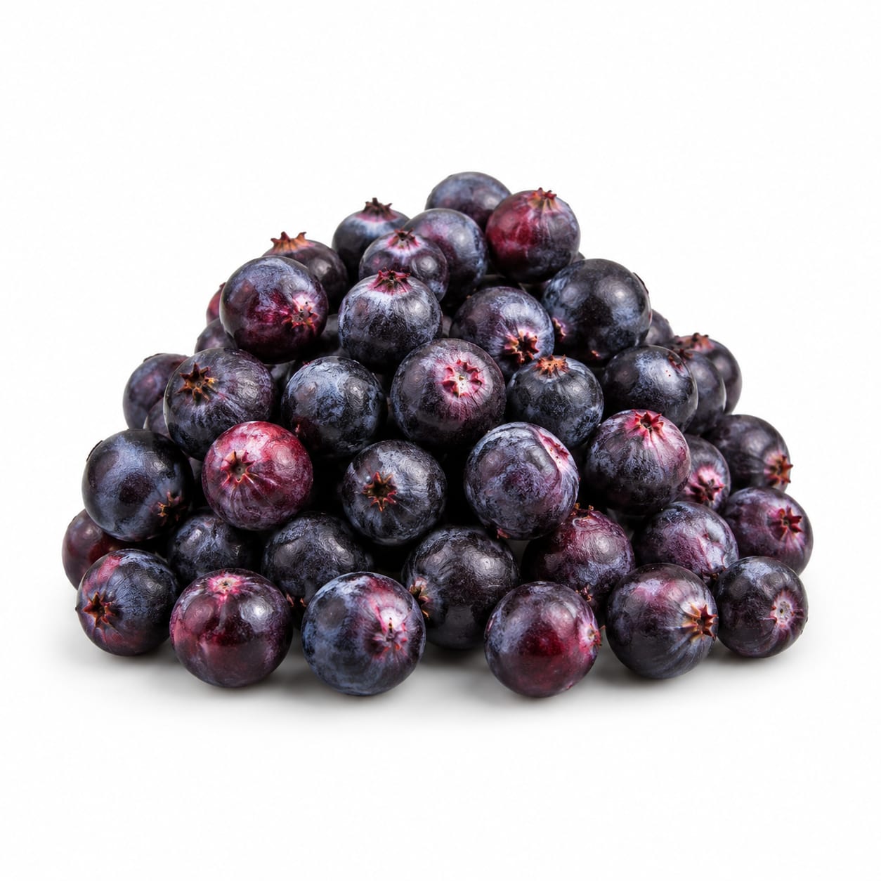 Saskatoon Berry