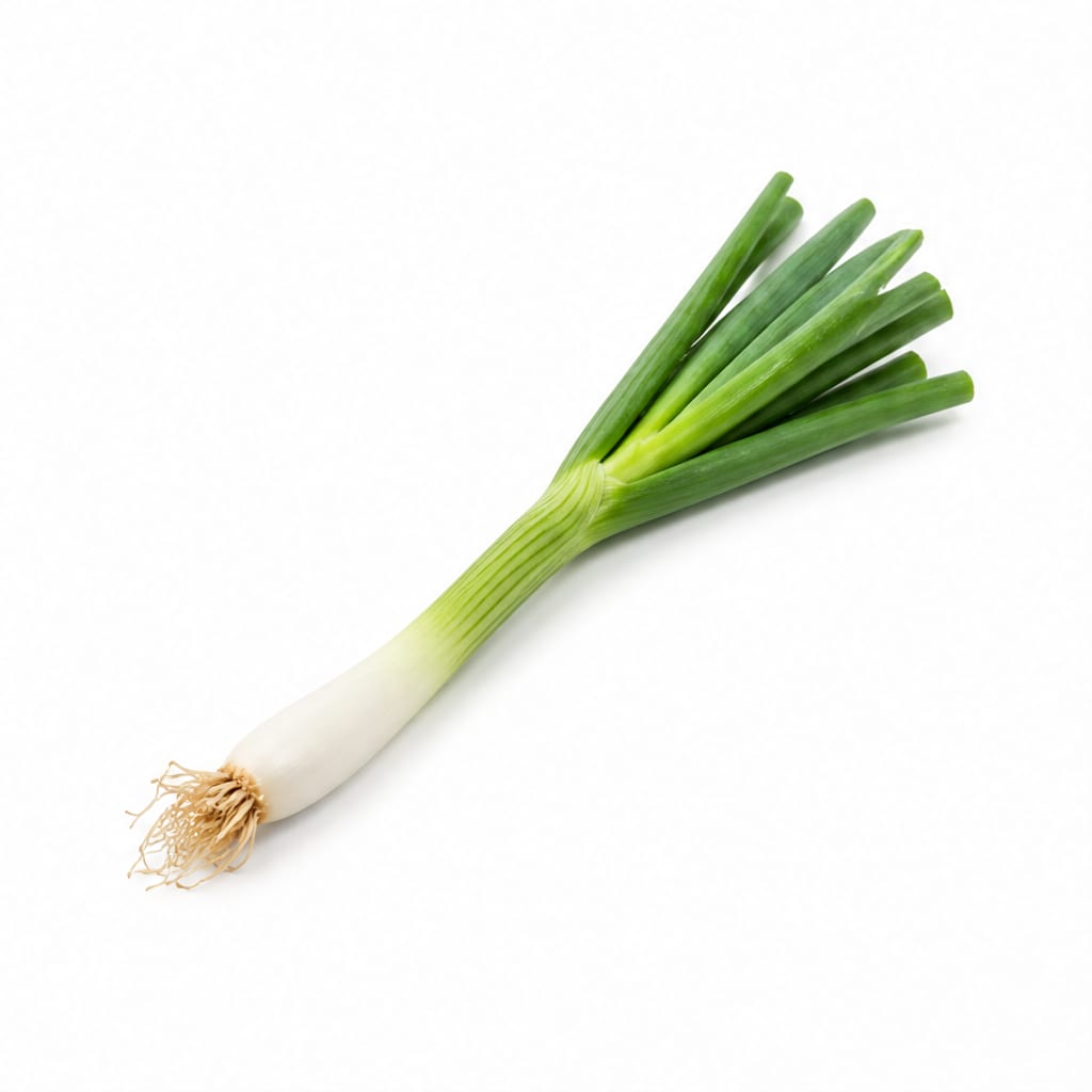 Scallion
