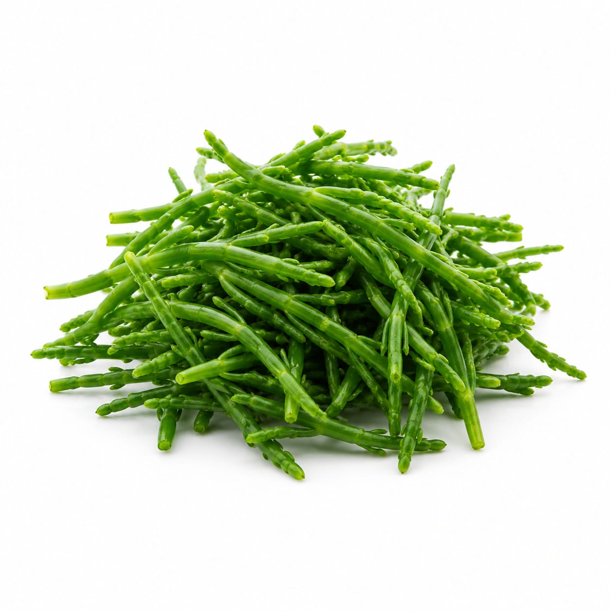 Sea Asparagus