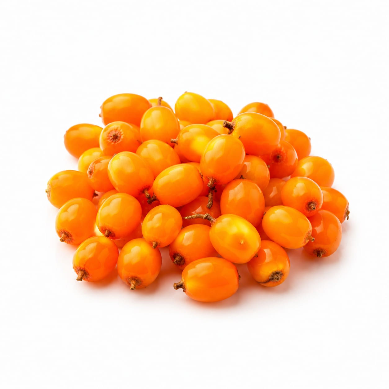 Sea Buckthorn