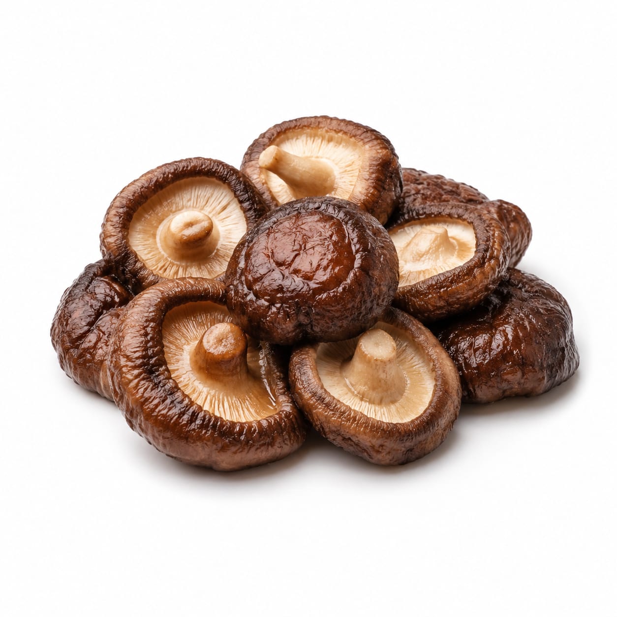 Shiitake Mushroom