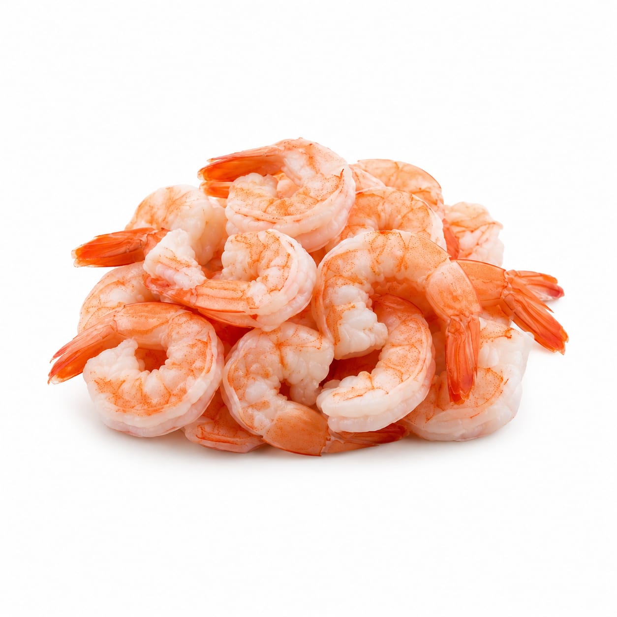 Shrimp