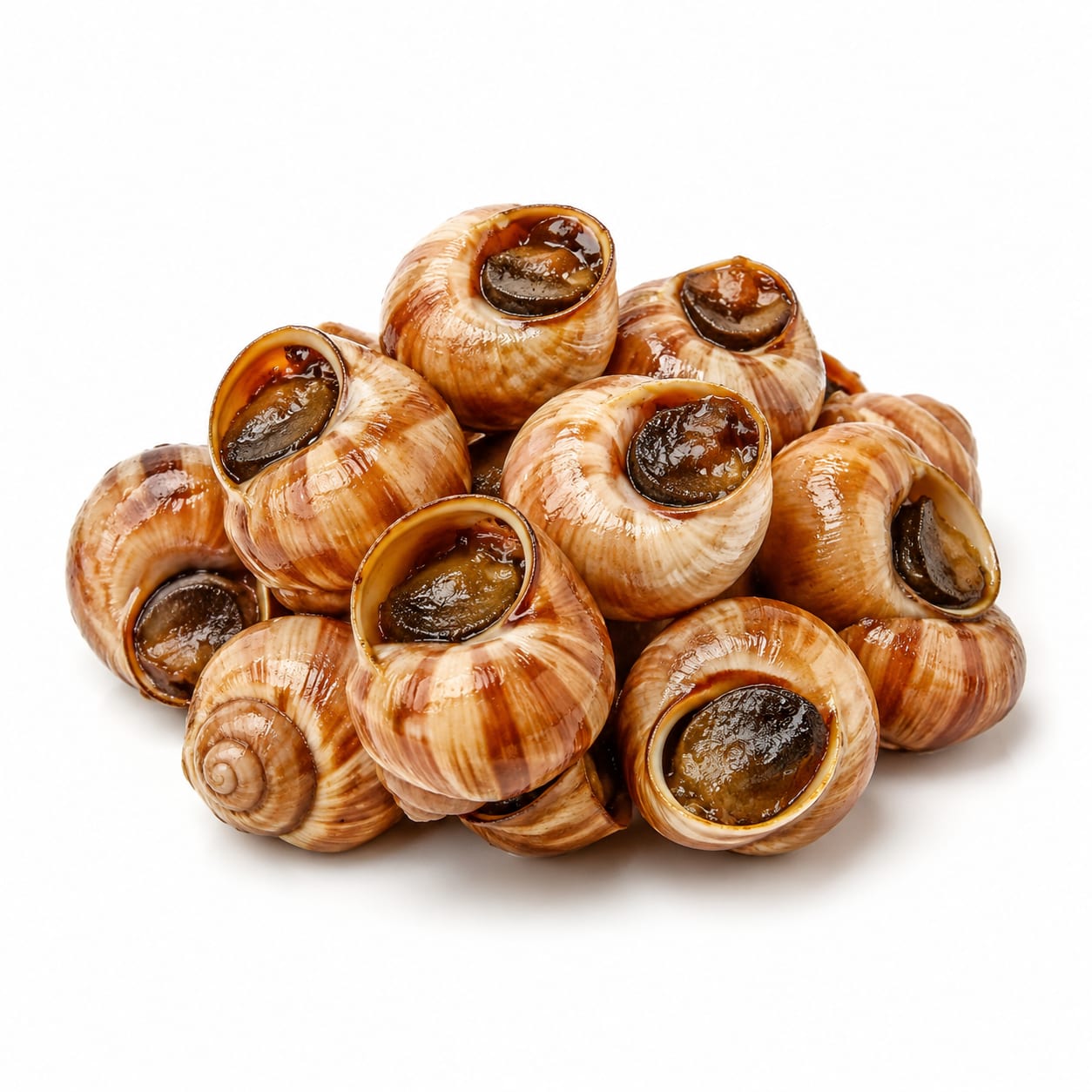 Snail
